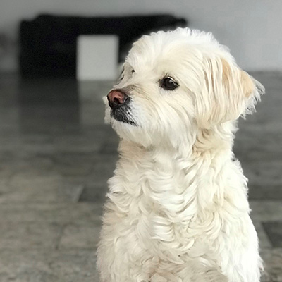 MOONICH Stellenausschreibung Versandsachbearbeiter/in