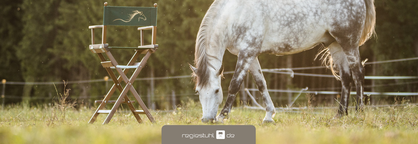 Regiestuhl, Stuhl fuer Pferdesport, Sydney, noce, gruen, mit Aufdruck